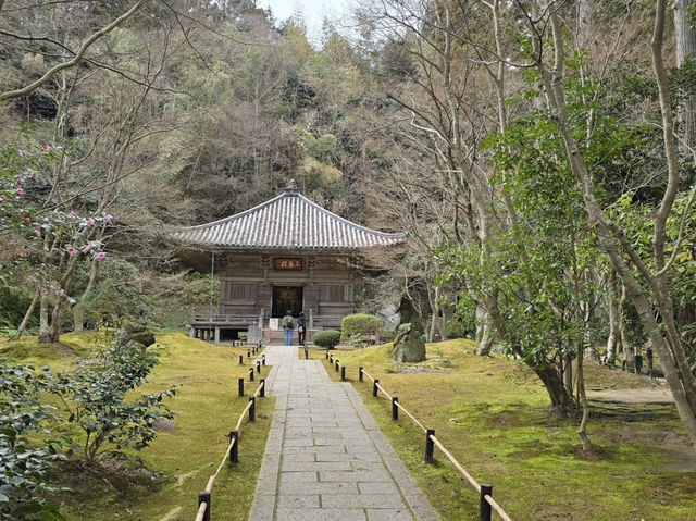 日本三景-松島（遊船+牡蠣可樂餅、烤扇貝、烤魚板）、圓通院、三慧殿