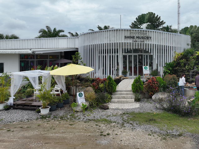 Shine Muscat Farm & Cafe