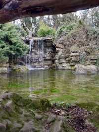 Unwind at Highfields Park