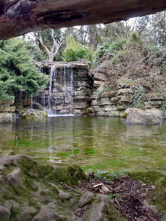 Unwind at Highfields Park