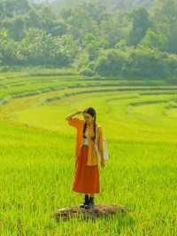 Pù luông