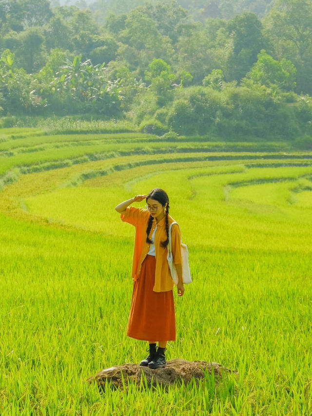 Pù luông