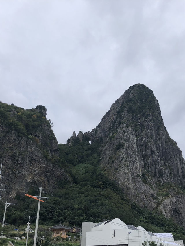 울릉도에서 꼭 들러야 할 감성 카페 🌊 하늘과 바다 사이, 카페 울라에서의 한 잔 