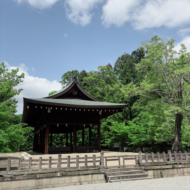 Sacred Stroll at Kashihara Jingu