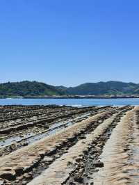 美麗的宮崎青島
