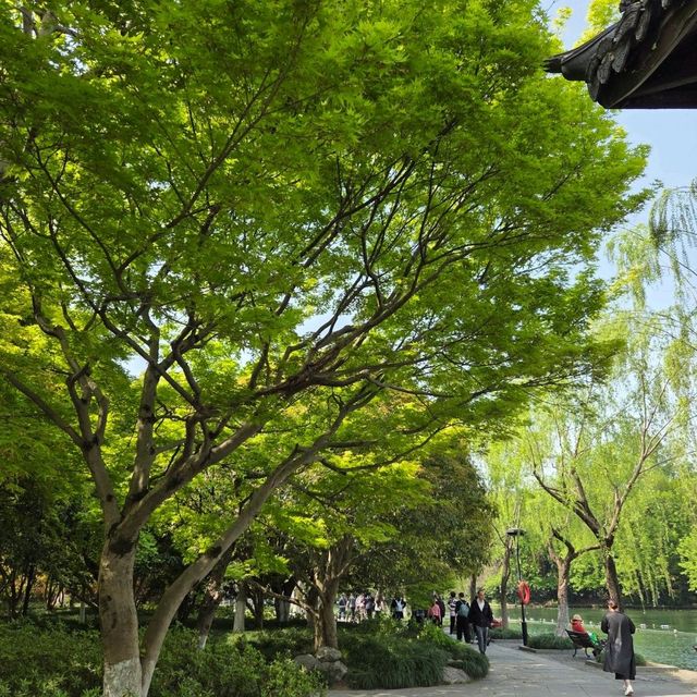รีวิวทะเลสาบซีหู หางโจว (西湖 / West Lake)