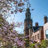 Leeds: A City That Blends History, Culture, and Modern Vibes Perfectly