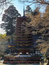 Tanzan shrine 