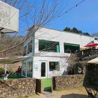 🩷🏞️남해카페추천 싱그러움 가득 남해 독일마을 카페 남해의숲