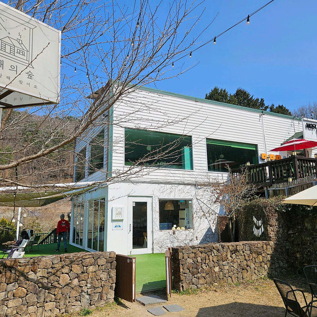 🩷🏞️남해카페추천 싱그러움 가득 남해 독일마을 카페 남해의숲