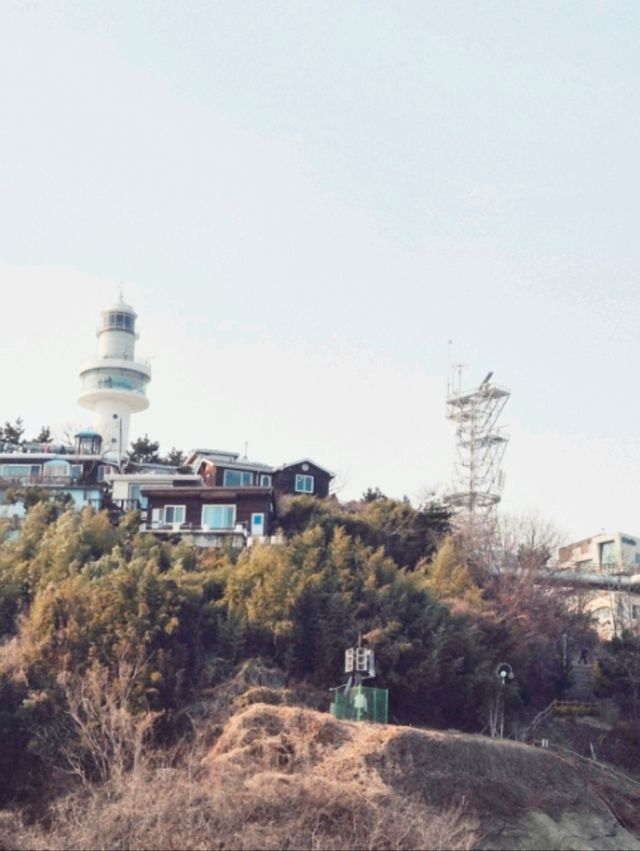 동해시가족여행[동해시뷰맛집_묵호등대]