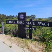 Torrey Pines State Natural Reserve – La Jolla, CA