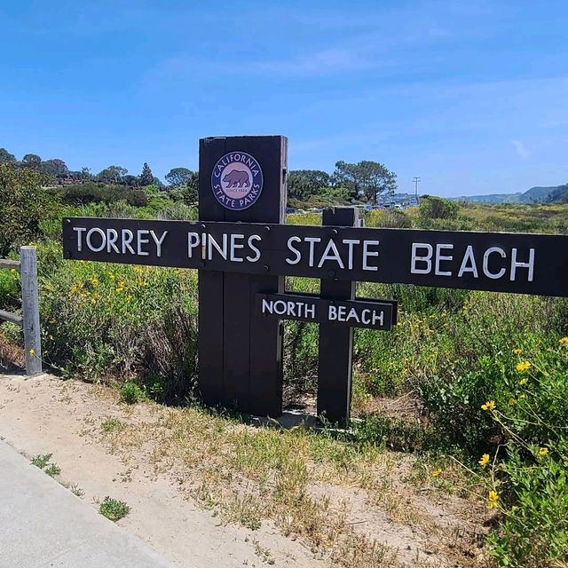 Torrey Pines State Natural Reserve – La Jolla, CA