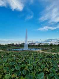When in Haman Lotus Theme Park