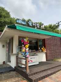 도심 속 봄꽃 여행, 전망대까지 있는 힐링 산책