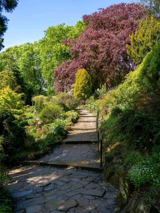 love scouting for a good walk that is full of nature and a complete opposite experience to a grey
