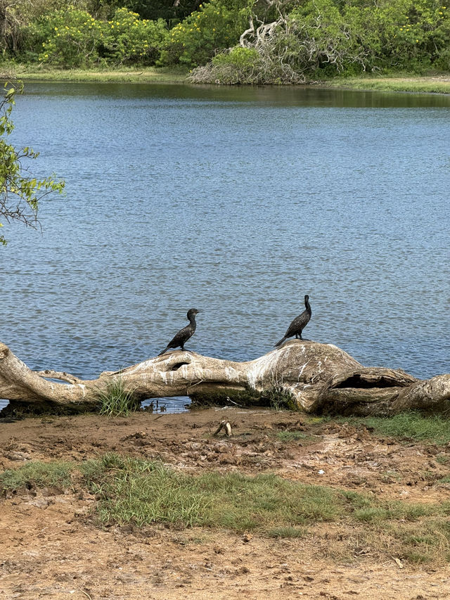 2 Days in Badulla – A Journey Through Nature and Culture