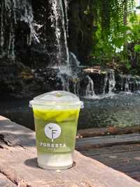 Foresta Cafe | BKK