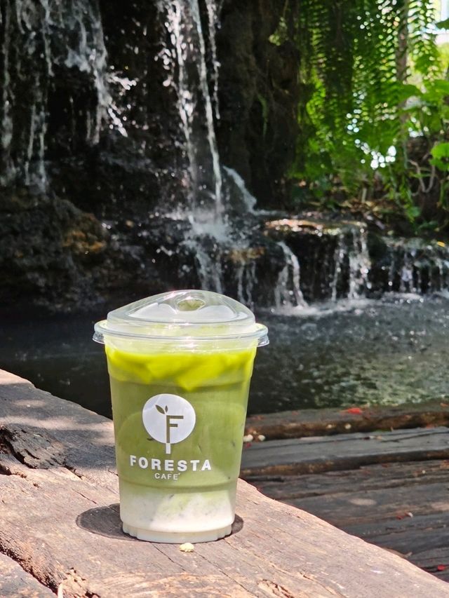 Foresta Cafe | BKK