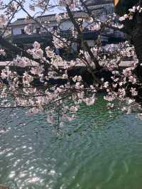 Kurashiki – Where Canals Whisper Japan’s Artistic Past
