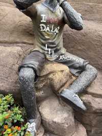 2 Day Da Lat Trip (Cold in Vietnam)