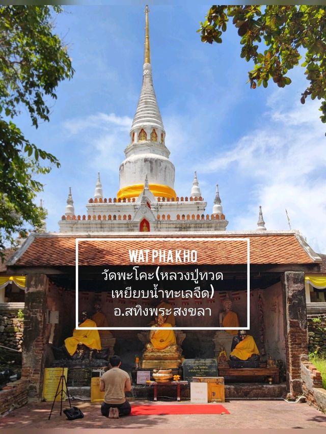 วัดพะโคะ (หลวงปู่ทวดเหยียบน้ำทะเลจืด) สงลา
