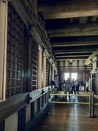 A Laid-Back Day in Himeji – Castles, Calm & a Few Furry Friends