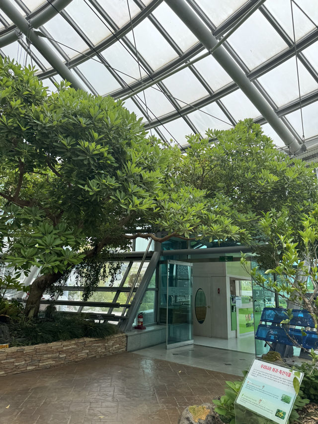 숲속 감성 가득한 생물탐구관 탐방기🌴