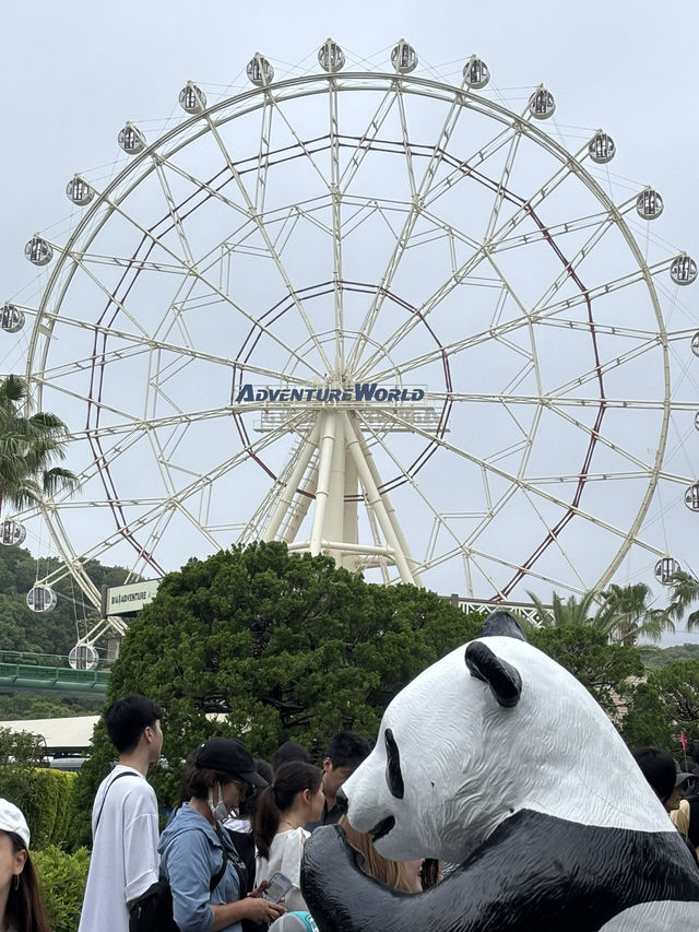 白浜のパンダ、30年間ありがとう❤️