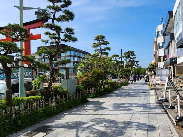 3박4일동안 도쿄 주변만 실컷 보고 온 썰