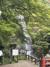A Peaceful Escape to Minoh park.