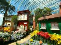 Gardens by the Bay – Singapore’s Futuristic Green Wonderland
