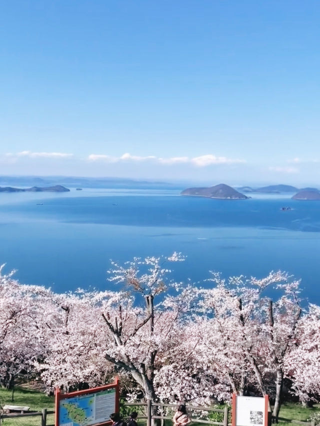 Sakura Above the Seto Sea – Mt. Shiude’s White Paradise
