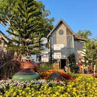 รวมคาเฟ่น่ารัก ไม่ควรพลาดที่พิษณุโลก ✨