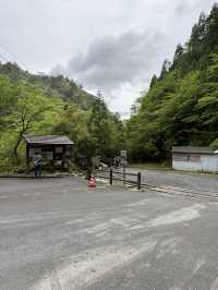 【屋久島】パワーを頂く旅