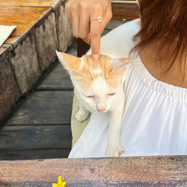 ไปนอนชิลๆที่เกาะกูด แบบฟีลกู๊ดกัน 🍃🧺