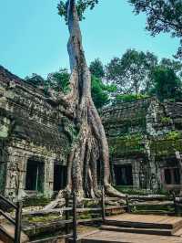 Premium hotels and resort in siam reap 