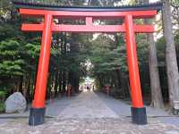 Spring Serenity at Kirishima Jingu