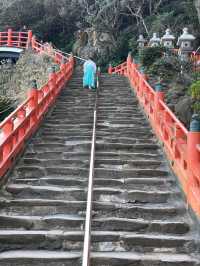Spring Chill & Shrine Thrills