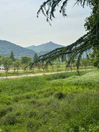 꽃보며 산책하기 좋은 ‘황산공원’