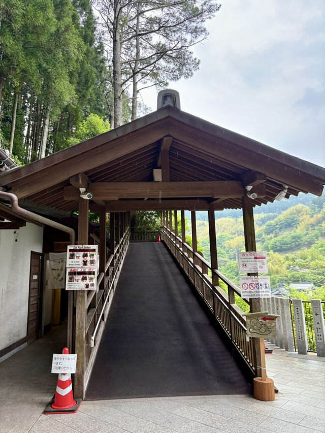 【福岡県】想像以上に大迫力！！福岡行くなら行ってみて！