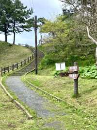 An Active Day Out in Hachinohe – Nature, Trails & Local Flavors