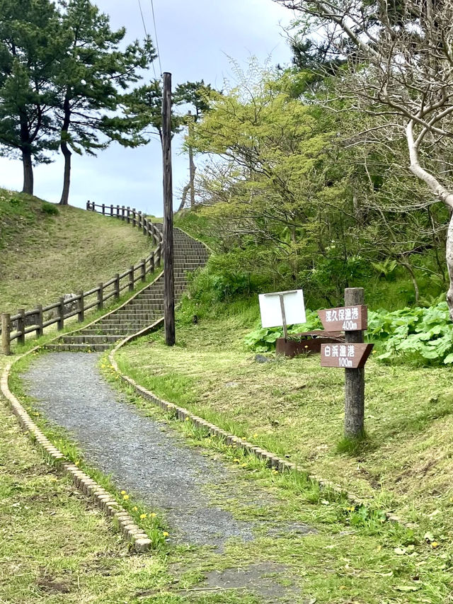 An Active Day Out in Hachinohe – Nature, Trails & Local Flavors