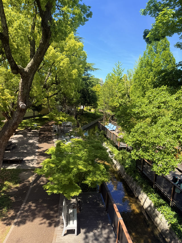 岡山｜三井outlet與Ario商場組成購物圈 倉敷購物必去