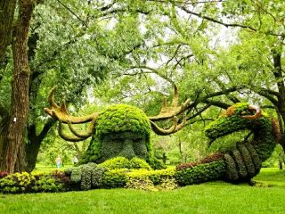 Montreal Botanical Garden – A Living Masterpiece in the Heart of the City