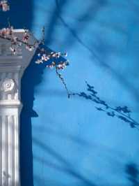 Haitang Road: Ili’s Blossoming Spring Secret