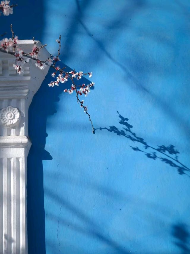 Haitang Road: Ili’s Blossoming Spring Secret