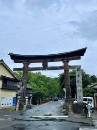 🚐輕鬆包車遊關西｜彥根城×琵琶湖×白鬚神社一日輕旅行