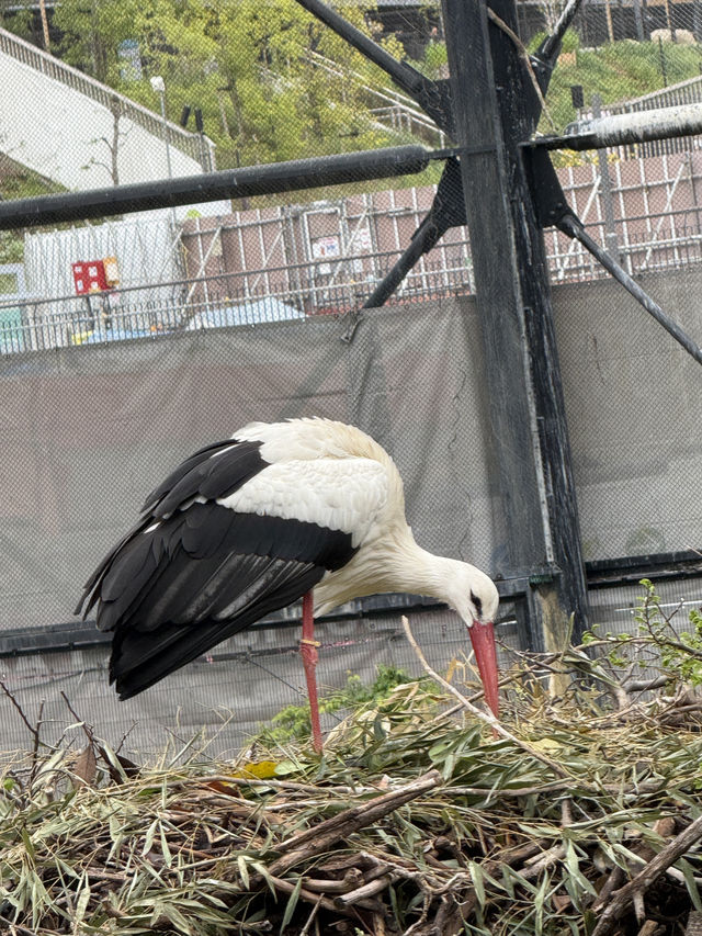 大阪天王寺動物園