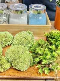 🌿 종로 테라리움 원데이 클래스 후기 🌿